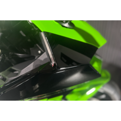 Kawasaki ZX-10R - 2024, 2021 model