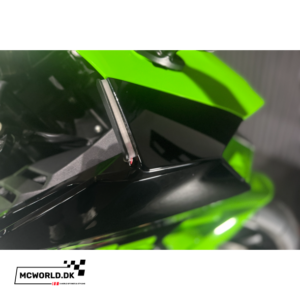 Kawasaki ZX-10R - 2024, 2021 model