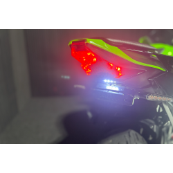 Kawasaki ZX-10R - 2024, 2021 model