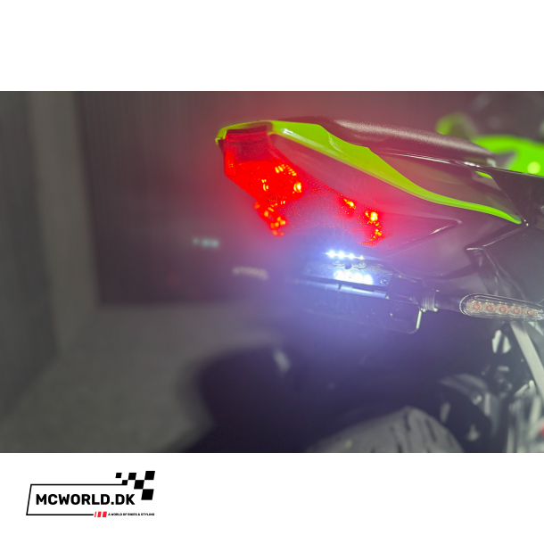 Kawasaki ZX-10R - 2024, 2021 model