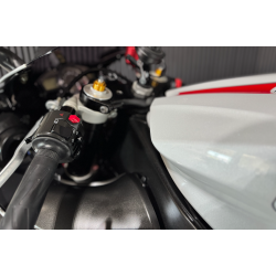 Yamaha R1 - 2008 - Perlemorshvid