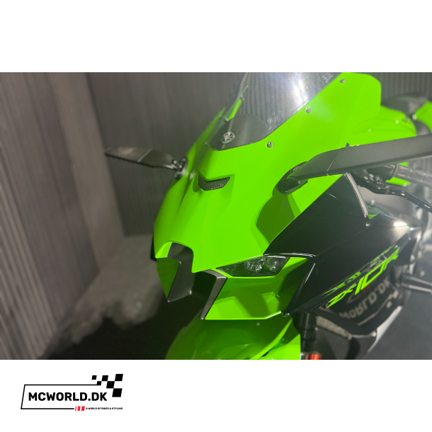 Kawasaki ZX-10R - 2024, 2021 model