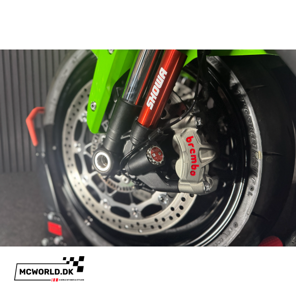 Kawasaki ZX-10R - 2024, 2021 model