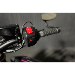 Suzuki GSSXS 1000 - 2023 - Lilla