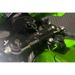 Kawasaki ZX-10R - 2024, 2021 model