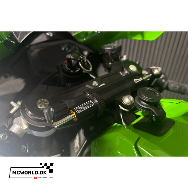 Kawasaki ZX-10R - 2024, 2021 model