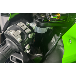 Kawasaki ZX-10R - 2024, 2021 model