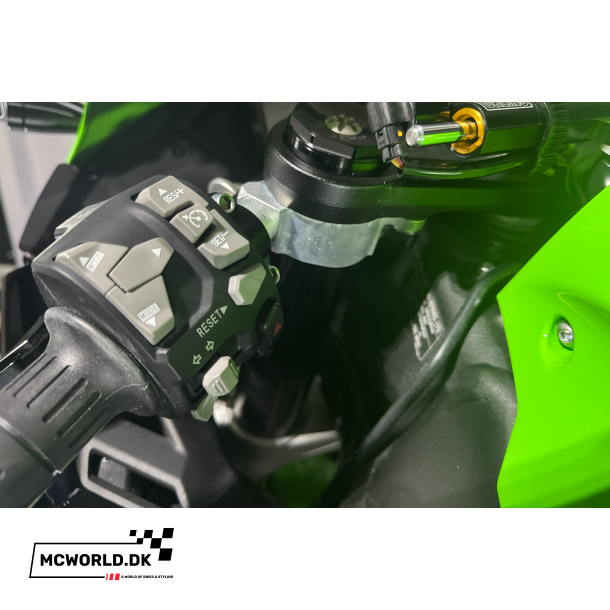 Kawasaki ZX-10R - 2024, 2021 model