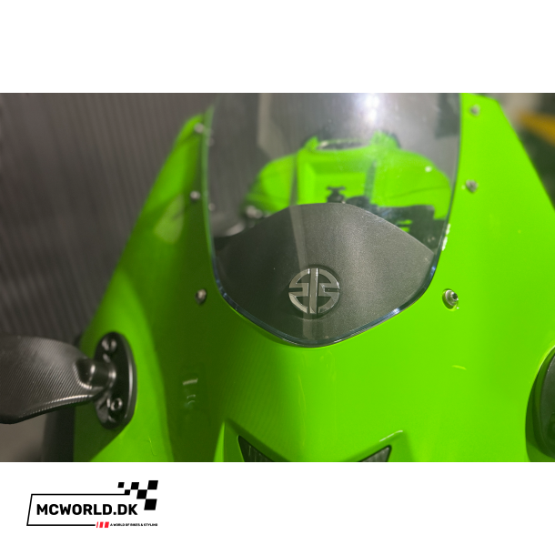 Kawasaki ZX-10R - 2024, 2021 model