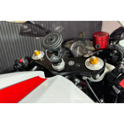 Yamaha R1 - 2008 - Perlemorshvid