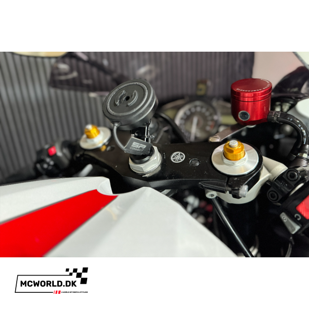 Yamaha R1 - 2008 - Perlemorshvid