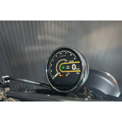 Royal Enfield Bear 650 TwoFourNine - Fabriksny