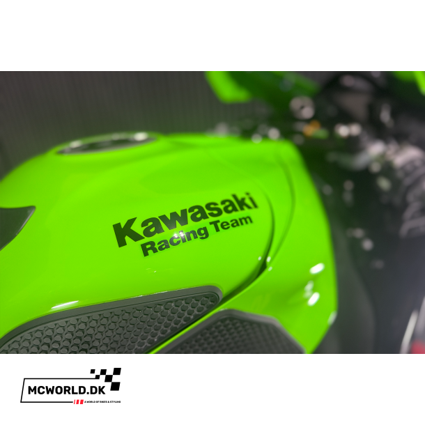Kawasaki ZX-10R - 2024, 2021 model