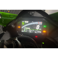 Kawasaki ZX-10R - 2024, 2021 model