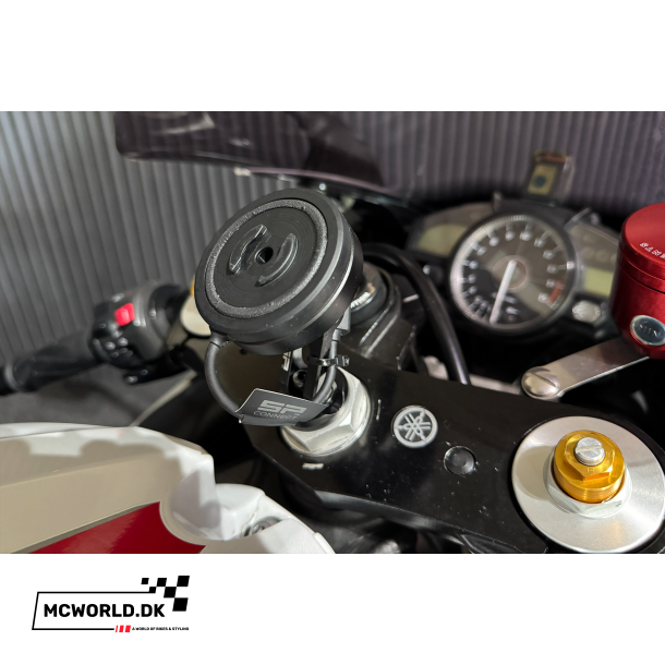 Yamaha R1 - 2008 - Perlemorshvid