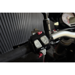 BMW S1000 R DabRabbit Edition - 2017