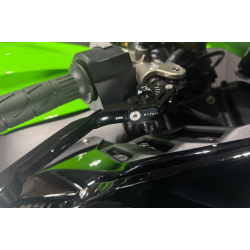 Kawasaki ZX-10R - 2024, 2021 model