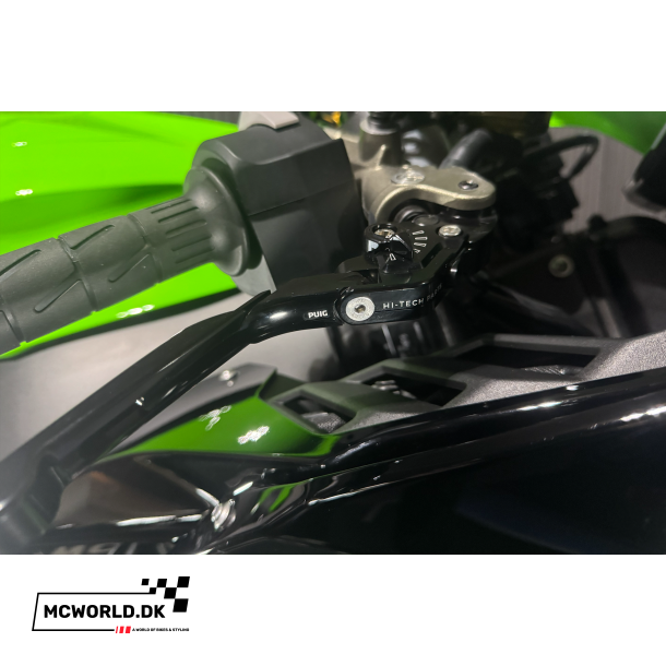 Kawasaki ZX-10R - 2024, 2021 model