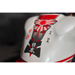 Yamaha R1 - 2008 - Perlemorshvid