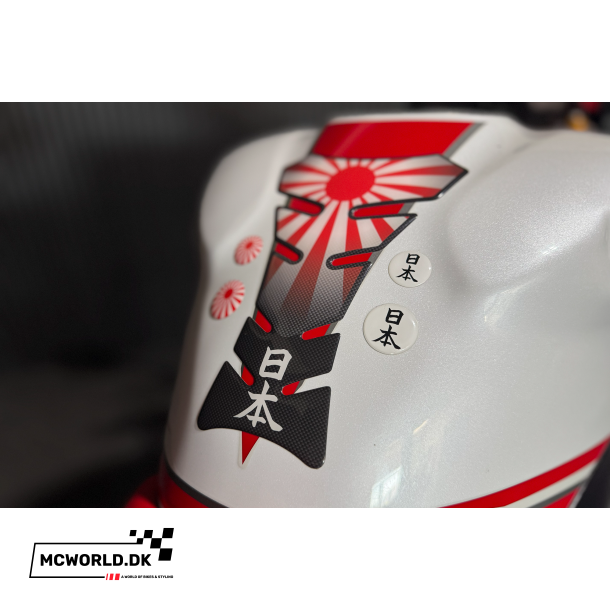 Yamaha R1 - 2008 - Perlemorshvid
